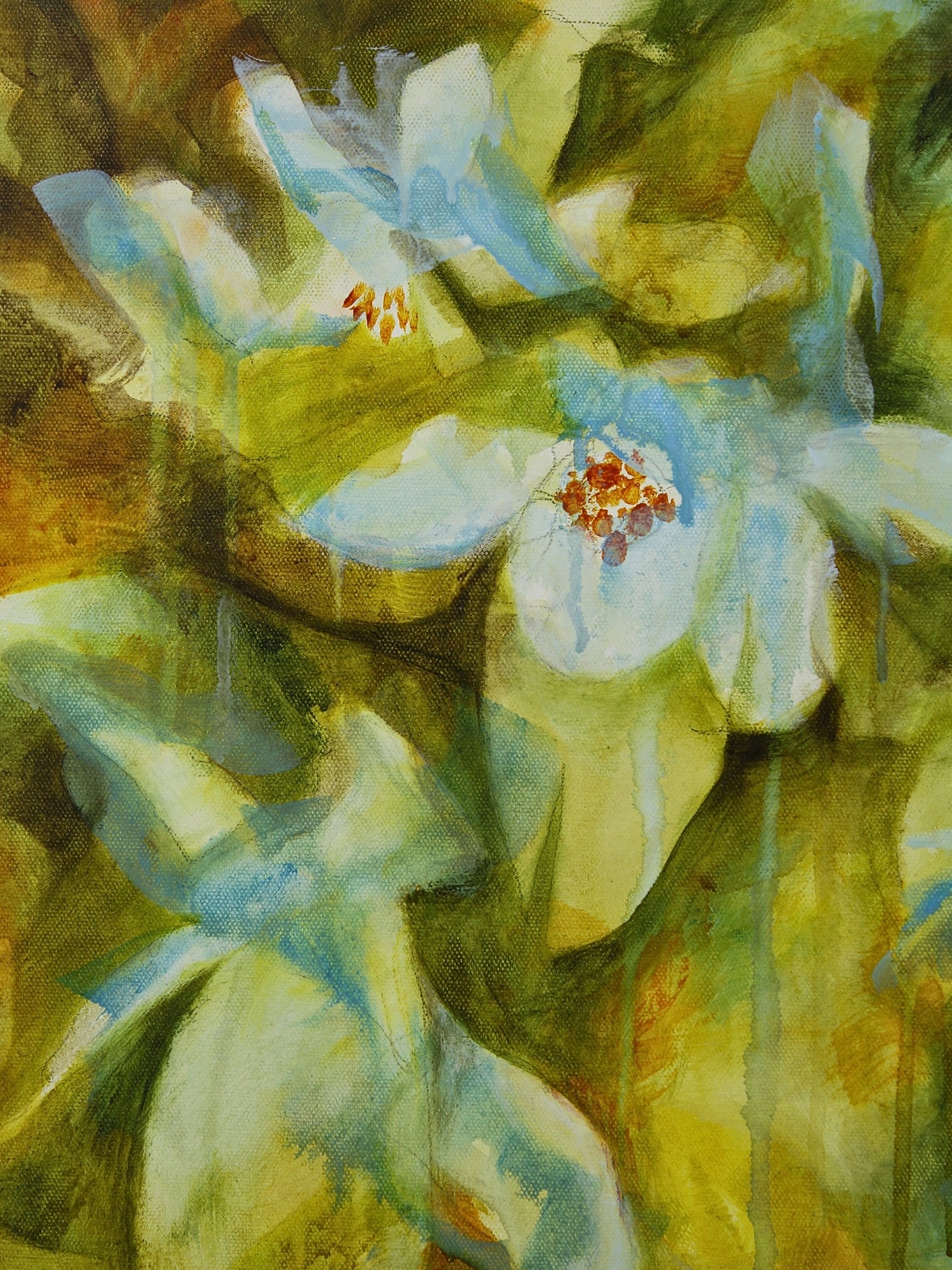 The Shape of Scent