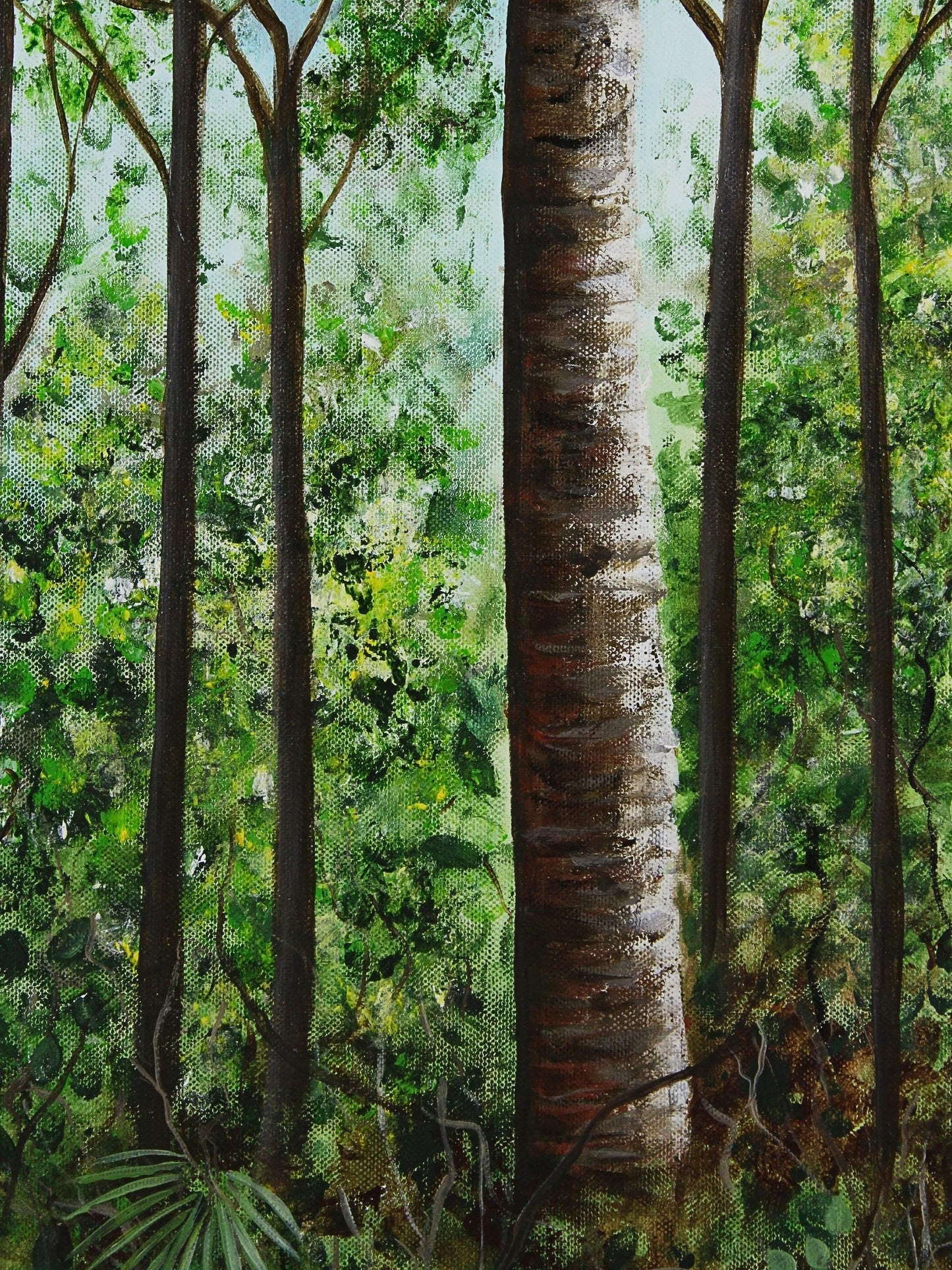 Kauri Grove