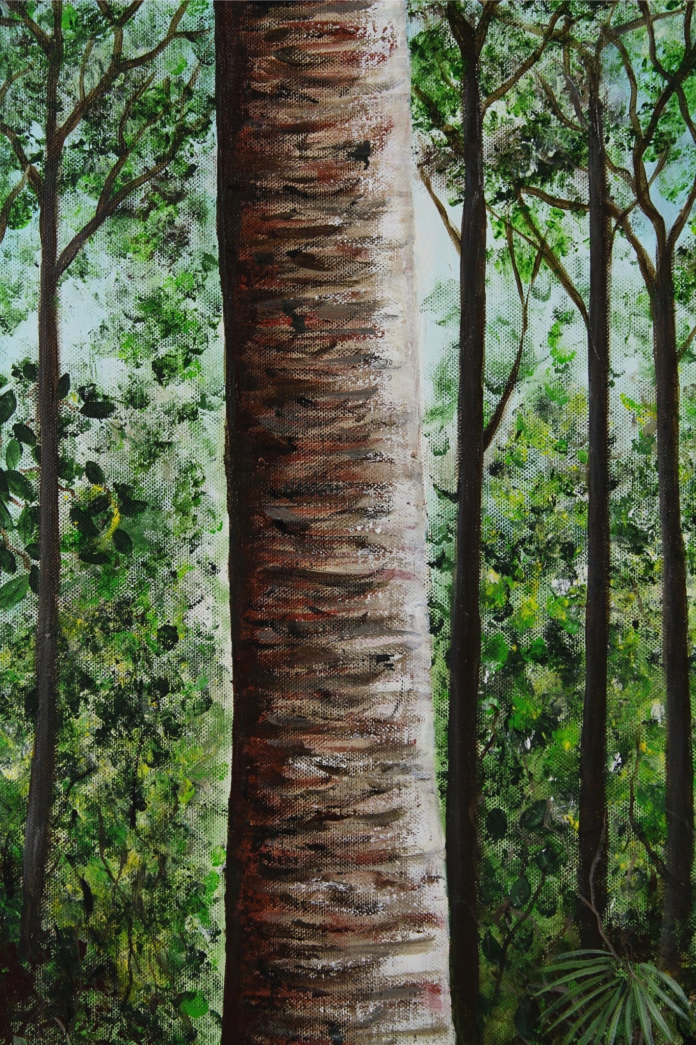 Kauri Grove