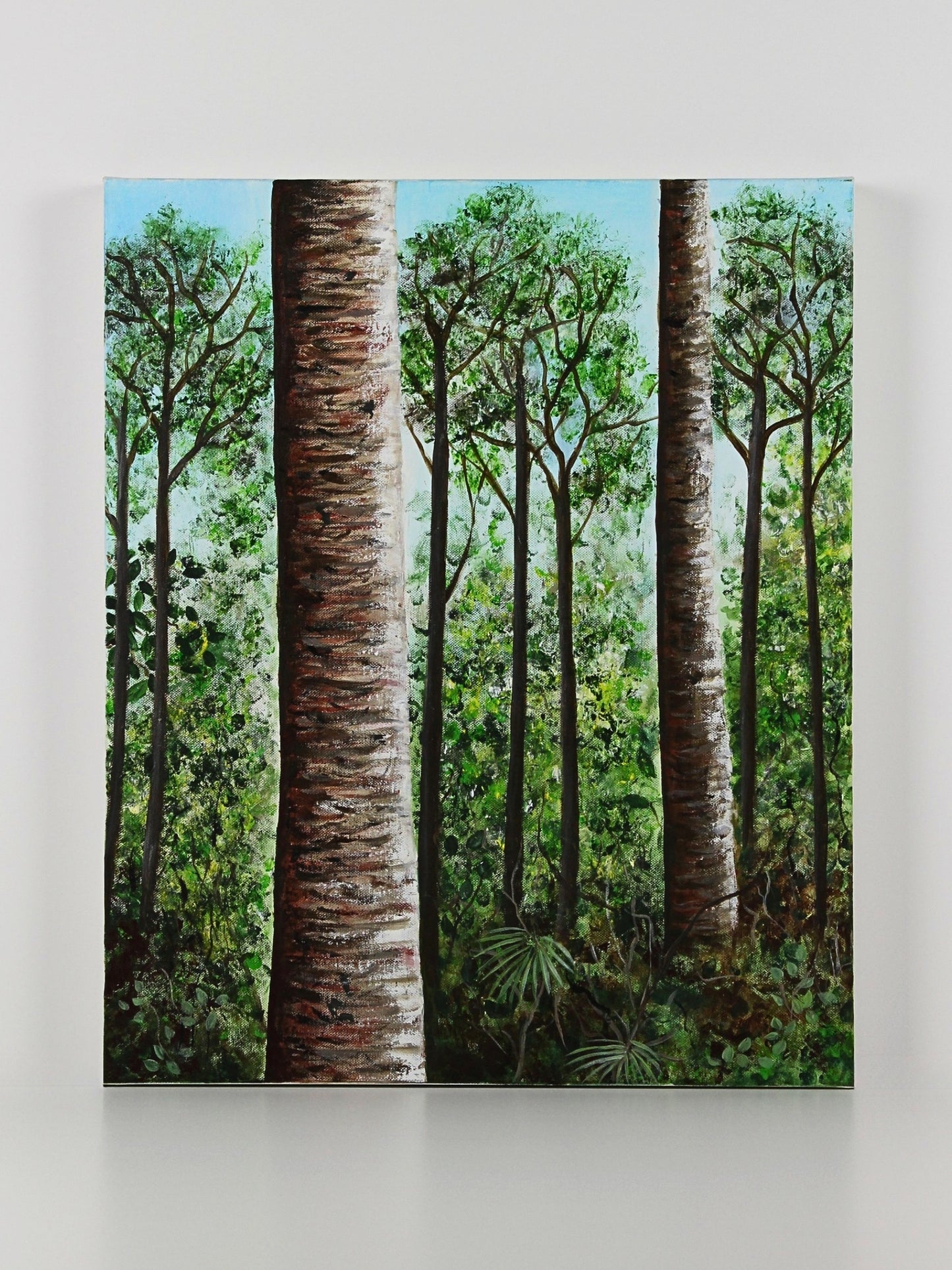 Kauri Grove