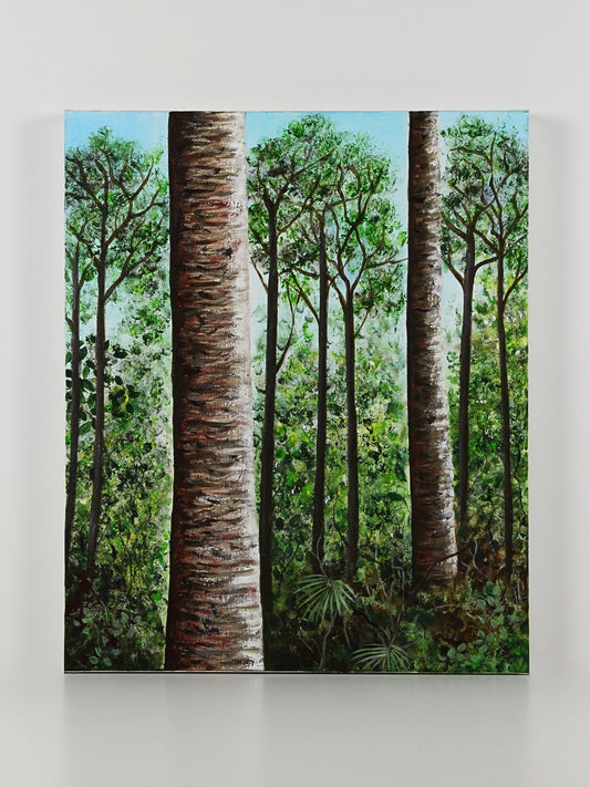 Kauri Grove