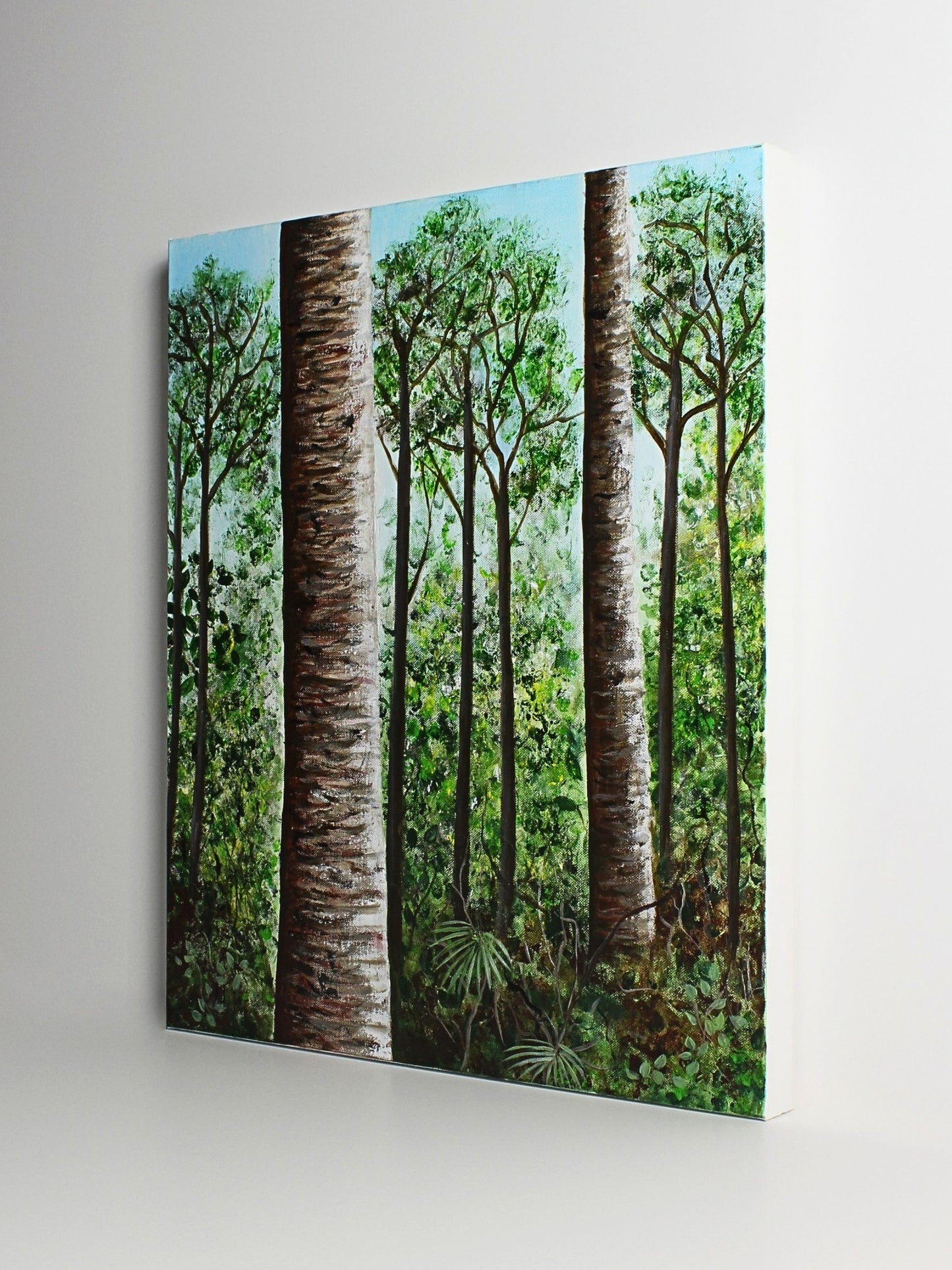 Kauri Grove