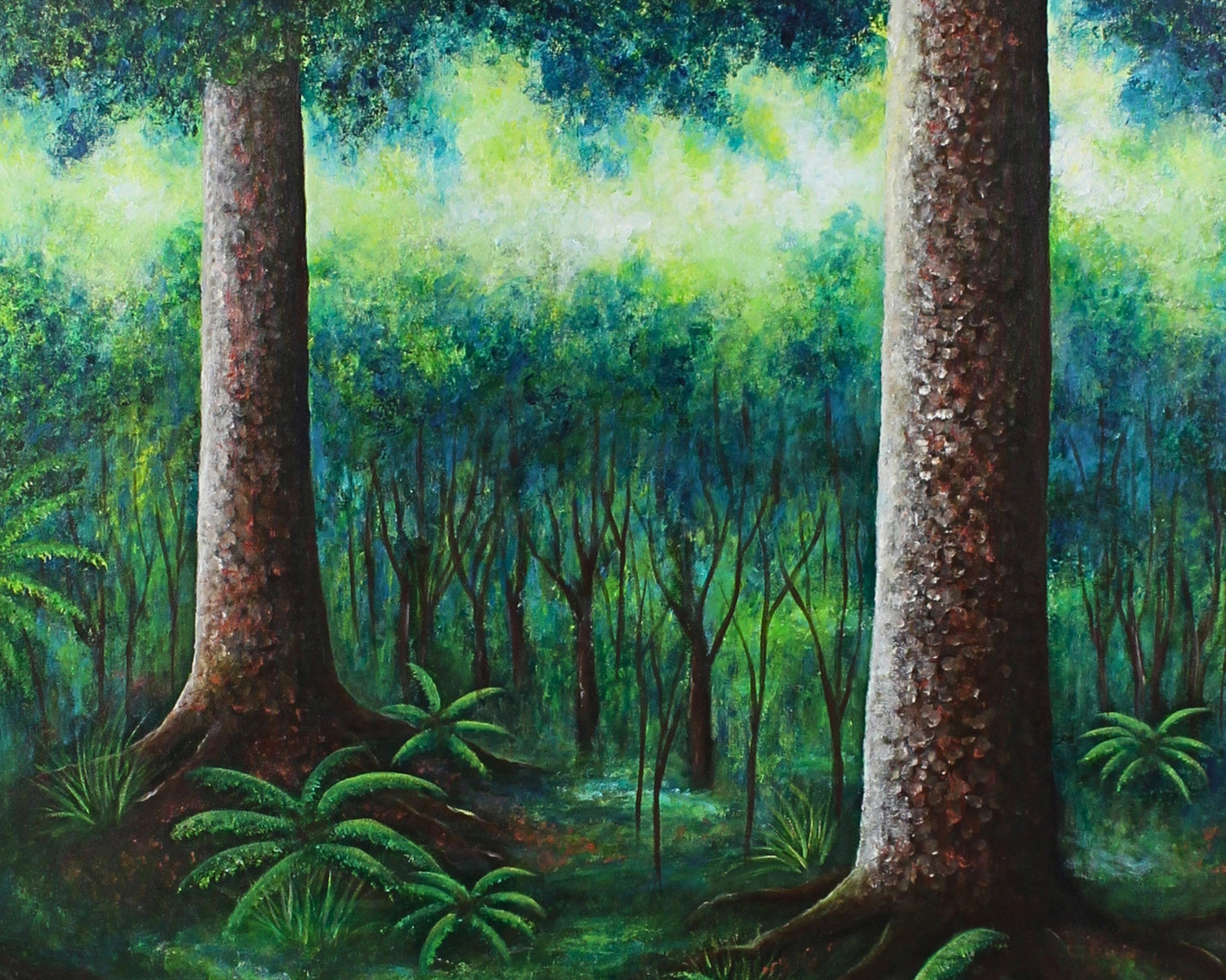 Twilight Over Kauri Forest