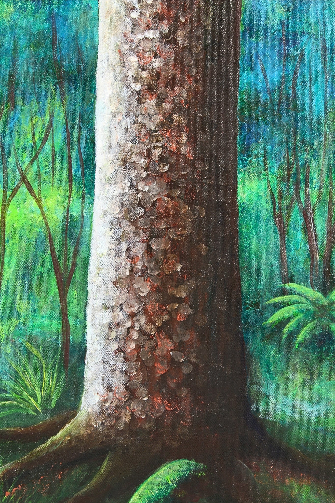 Twilight Over Kauri Forest