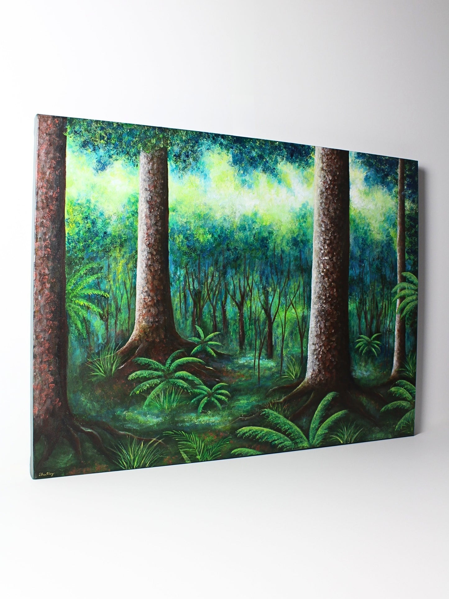 Twilight Over Kauri Forest