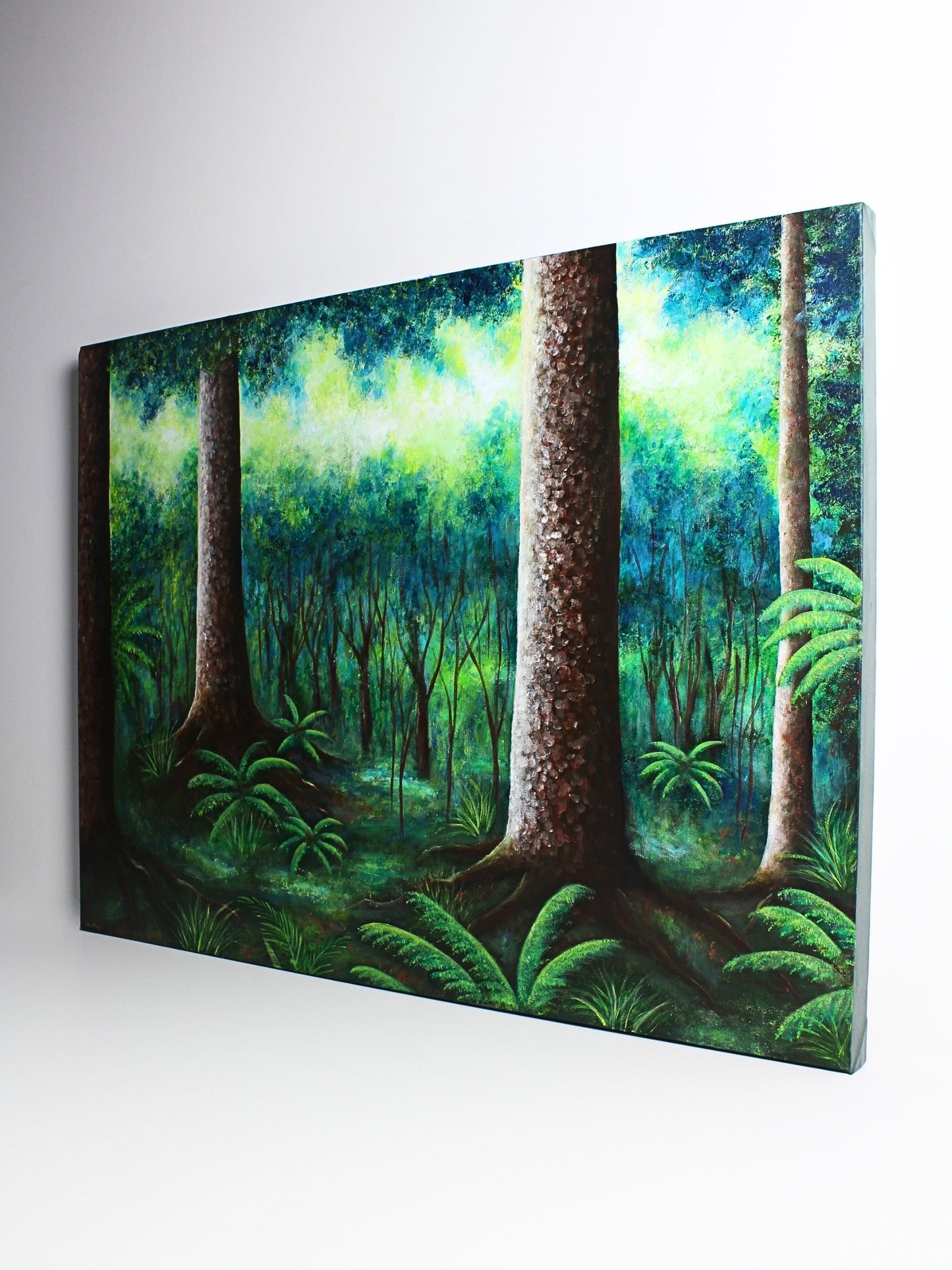 Twilight Over Kauri Forest